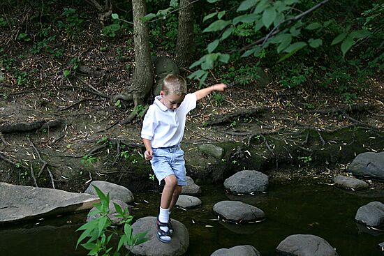 Click on image for details