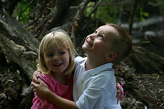 Click on image for details