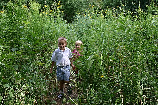 Click on image for details