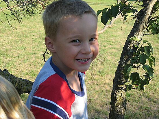 Click on image for details