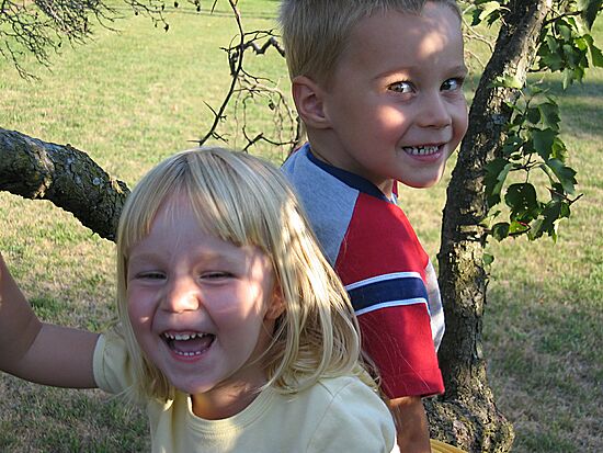 Click on image for details