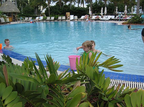 Click on image for details