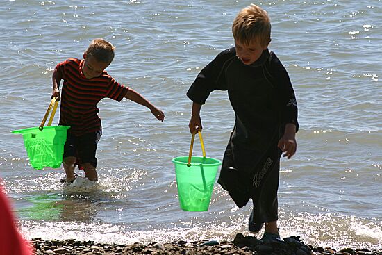 Click on image for details