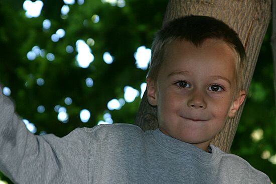 Click on image for details