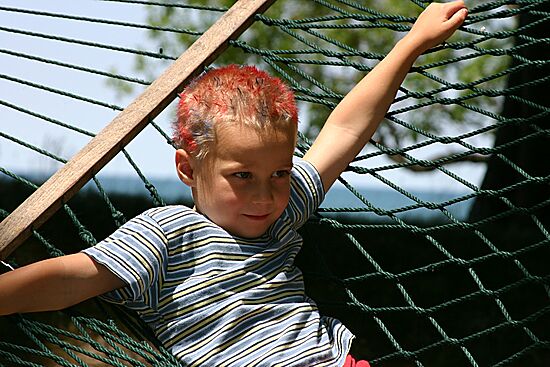 Click on image for details