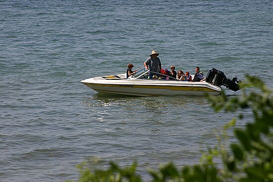 Click on image for details