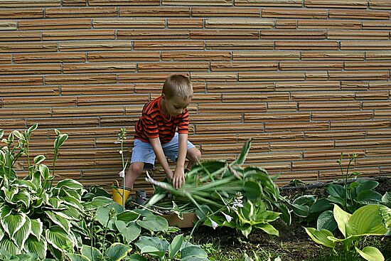 Click on image for details