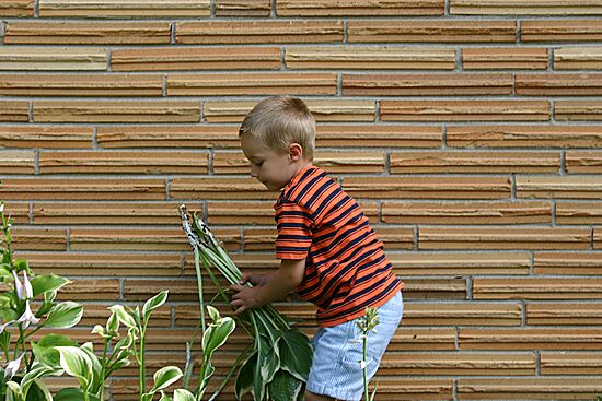 Click on image for details