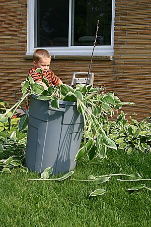 Click on image for details