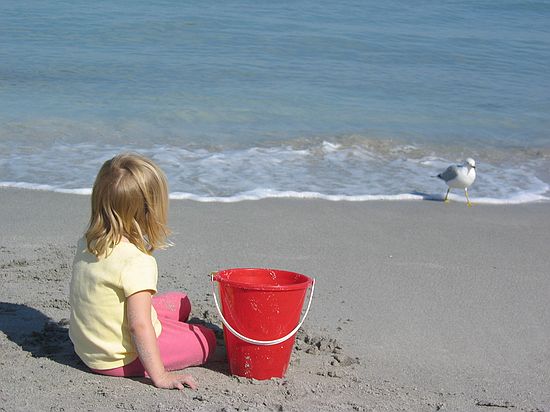 Click on image for details