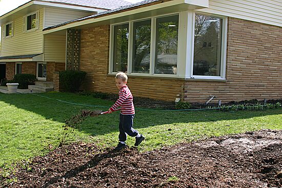 Click on image for details